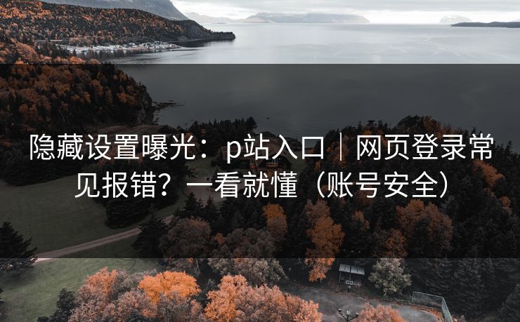 隐藏设置曝光：p站入口｜网页登录常见报错？一看就懂（账号安全）
