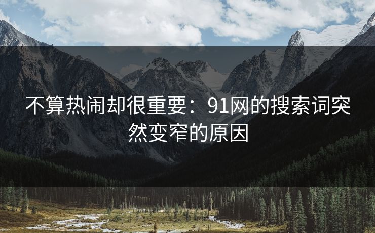 不算热闹却很重要：91网的搜索词突然变窄的原因